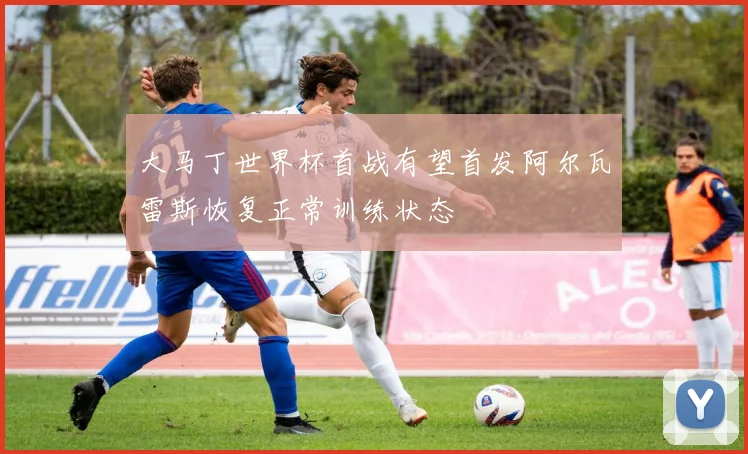大马丁世界杯首战有望首发阿尔瓦雷斯恢复正常训练状态