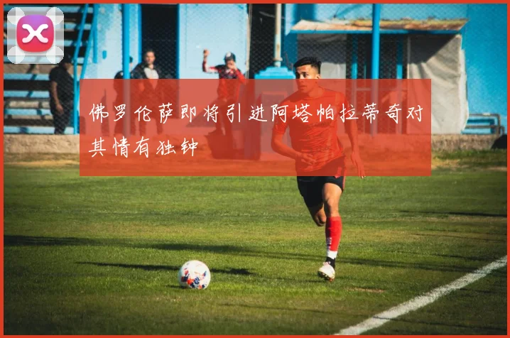 佛罗伦萨即将引进阿塔帕拉蒂奇对其情有独钟