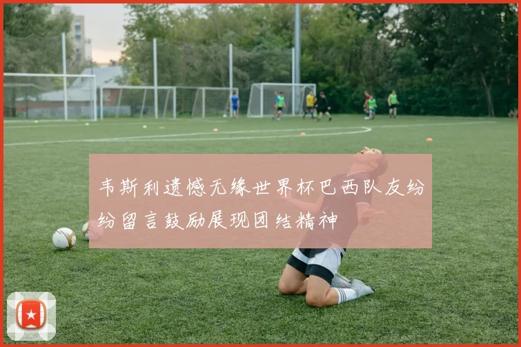 韦斯利遗憾无缘世界杯巴西队友纷纷留言鼓励展现团结精神